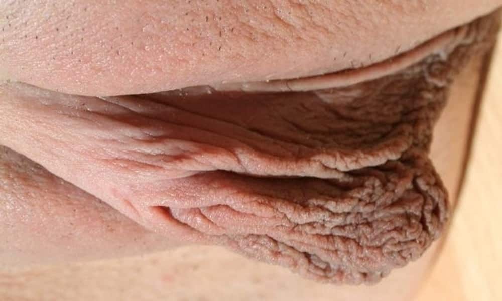 Die Klitoris: Facts über den Kitzler 
